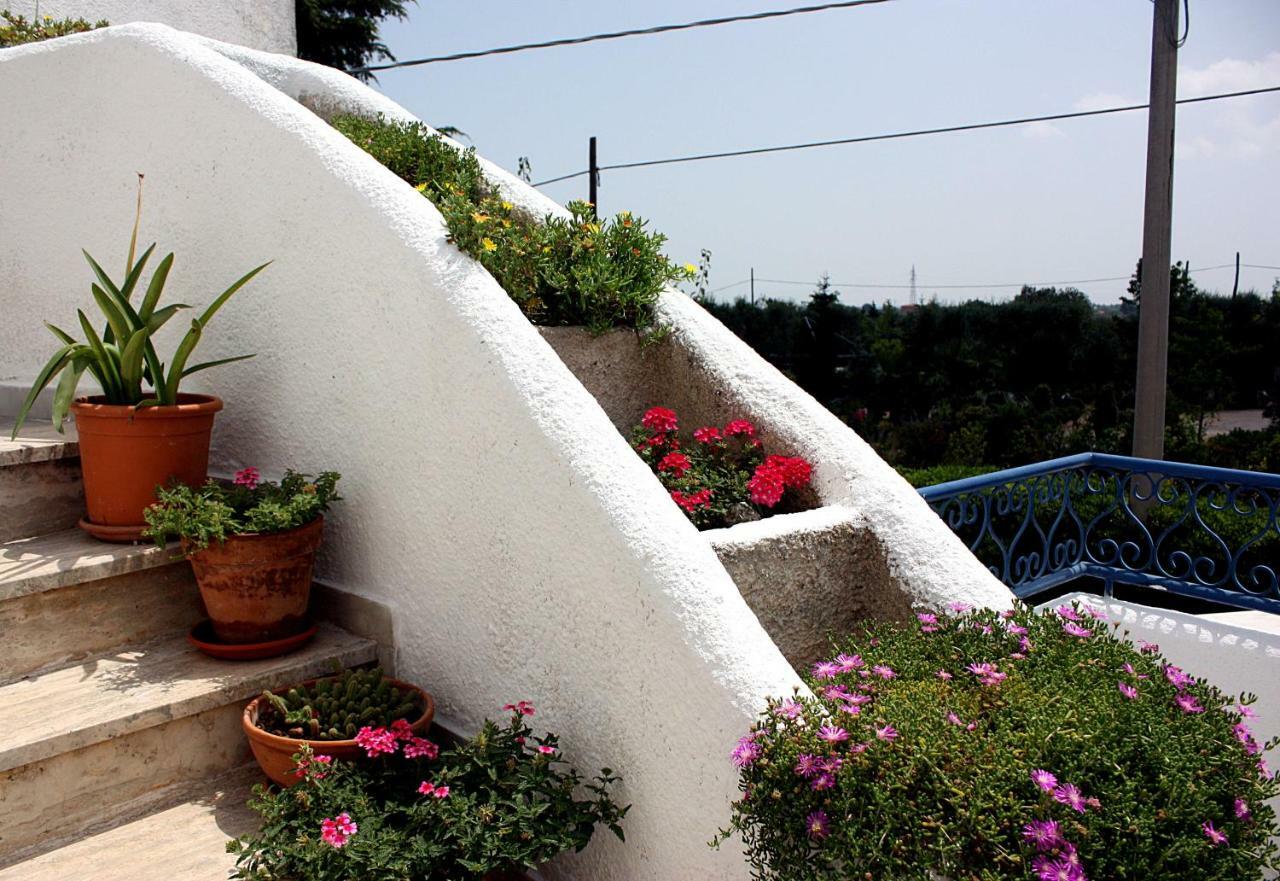 Patty Green House Castellana Grotte Kültér fotó